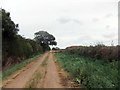 Farm track near Leven in HU17 5AF