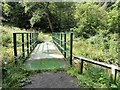 Footbridge in the woods in DH9 7ND