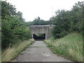 Underpass, Challenge Way near Chidswell in WF12 7QL