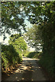 Lane at turn to Chapplelands in TQ9 7JY