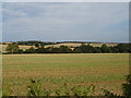 Stubble field north of Hundon Road in Clare, Hundon & Kedington Ward