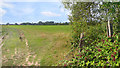 Footpath near Brimpton in RG7 4SP