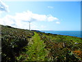 Footpath approaching Pwll Deri, Pembs in SA64 0LP