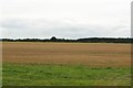 Arable field on Embleton Moor in NE66 3HG