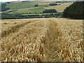Tramlines above Houndwood in the Scottish Borders in TD14 5TP