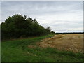 Stubble field and hedgerow in IP29 4PS