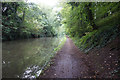 Grand Union Canal towards bridge #83 in B92 8NH