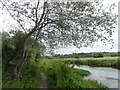 River Itchen near Brambridge in SO21 1SP