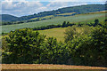 Nettlecombe : Countryside Scenery in TA23 0LX