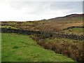 Rough grazing above Tambowie in G62 7HN
