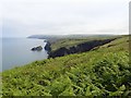 View north from the Pembrokeshire Coast Path in SA43 3BT