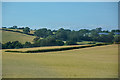 Williton : Countryside Scenery in TA23 0PY