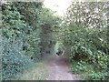 Footpath in Beacon Hill Conservation Park in NG24 2JH