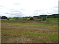 Stubble field off Creswell Grove (A5013) in ST18 9PT