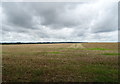 Stubble field off the B5026 in ST15 0BZ
