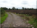 Farm track off the B5026, Cold Norton in ST15 0TY