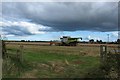 Harvest at Christon Bank in NE66 3HG