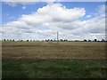 Electricity pole in a stubble field off Cold Harbour Lane in Carrington and New Bolingbroke