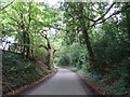 Lane heading out of Chebsey in ST21 6JT
