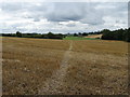 Footpath over stubble field in ST21 6JT