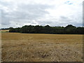 Stubble field towards woodland in ST21 6JT