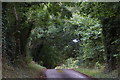 Country lane near Stenton in EH42 1TD