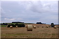 Fields at Grangemuir near Stenton in EH42 1TA