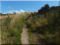 Path leading up Hurlet Hill in G53 7AT