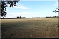 Stubble field through the hedge in PE12 8EY