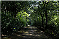 Shaded Walkway in Corporation Park in BB1 8NR