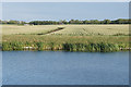 Farmland by the Great Ouse in PE38 0HP