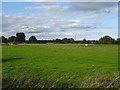 Grazing off Seighford Road in ST18 9LQ