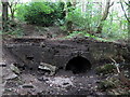 Industrial archaeology, Cockshot Dene, West Wylam in NE42 5EH