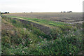 Fenland field near Ten Mile Bank in PE38 0EF