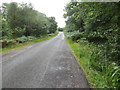 Minor road at Mid Strome in IV54 8YJ
