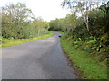 Tree-lined road near to Loch Iain Oig in IV40 8DP