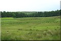 Grass field at Balmurrie in DG8 0NB