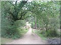 Track by Holmsley Inclosure in BH24 4HY
