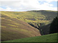 Corrie Burn, Cat Law in DD8 4RR