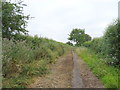 Track towards Highworth Road in SN6 7SG