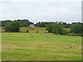 Silage field and bales in SN6 7PZ