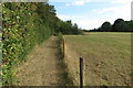 Footpath towards the Fordham Arms in MK44 1PZ