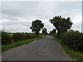 Buckland Road towards Charney Bassett in Charney Bassett