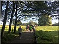 Runners on Graves parkrun in S8 8BR