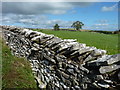 Dry stone wall and fields in CA17 4LW