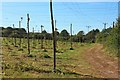 Cleared hop field by Hopehouse Lane in TN18 5PT