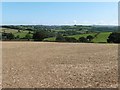 Stubble field above Moor Farm in EX6 7DP
