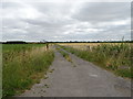 Gated farm track (footpath) off the A338 in OX12 0FH