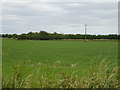 Farmland off the A338 near East Hanney in OX12 0FH