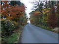 Some autumn colours by Lower Braidwood in ML8 5NG